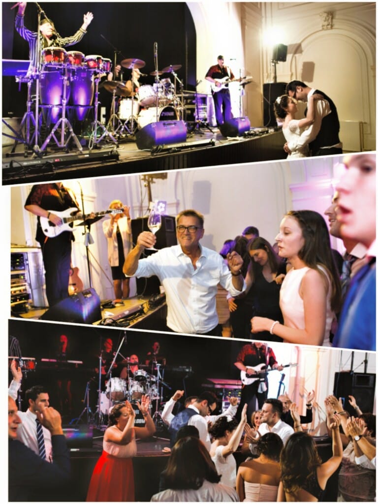 Teddy lion band multiple images