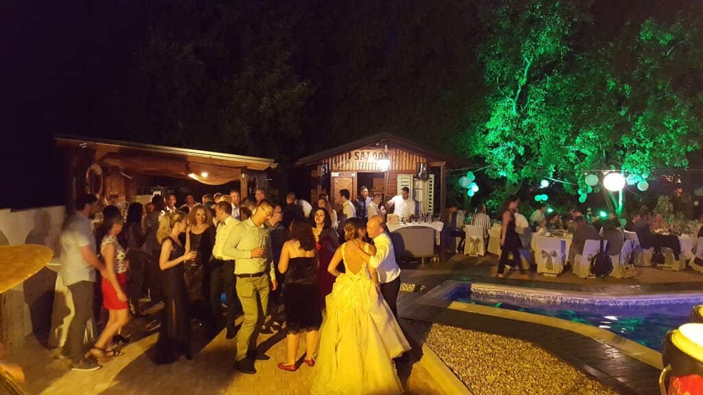 teddy lion band performing outside