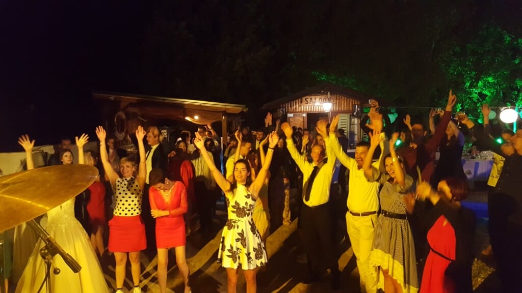 teddy lion band hands in the air